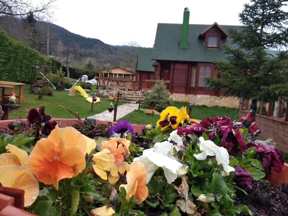 Kedra Village Exterior photo