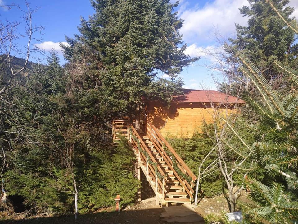 Kedra Village Exterior photo